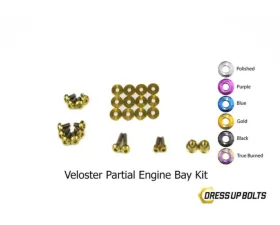 Dress Up Bolts Stage 1 Titanium Hardware Engine Bay Kit Hyundai Veloster 2012-2018