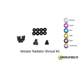 Dress Up Bolts Titanium Hardware Radiator Shroud Kit Hyundai Veloster 2012-2018