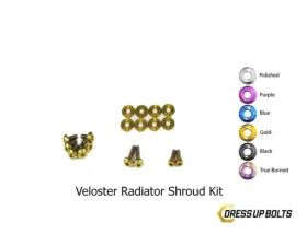 Dress Up Bolts Titanium Hardware Radiator Shroud Kit Hyundai Veloster 2012-2018