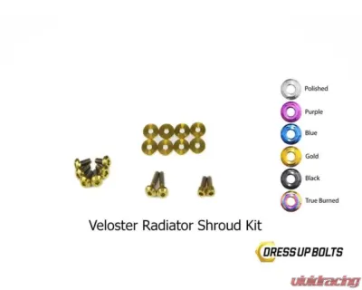 Dress Up Bolts Titanium Hardware Radiator Shroud Kit Hyundai Veloster 2012-2018 - HYU-007-Ti-GLD
