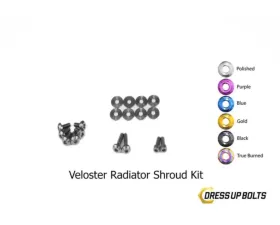 Dress Up Bolts Titanium Hardware Radiator Shroud Kit Hyundai Veloster 2012-2018
