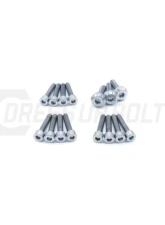 Dress Up Bolts Stage 1 Titanium Hardware Engine Kit Nissan RB26 Engine                                     - NIS-036-Ti-POL - Image 3