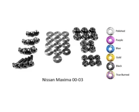 Dress Up Bolts Titanium Engine Bay Kit Nissan Maxima 2000-2003