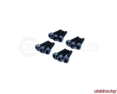 Dress Up Bolts Titanium Hardware Fuel Injector Kit Nissan 300ZX VG30DETT | VG30DE Engine - NIS-075-Ti-BLK