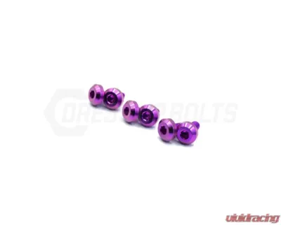 Dress Up Bolts Titanium Hardware Fuel Door Kit Toyota Supra MK4 1993-2002 - TOY-051-Ti-GLD