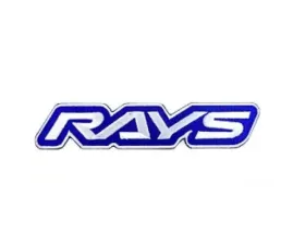 Rays Official Logo Patch