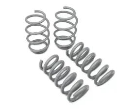 RTR Vehicles Tactical Performance Lowering Springs Ford Mustang GT Fastback | Ecoboost w/MagneRide 2015-2023