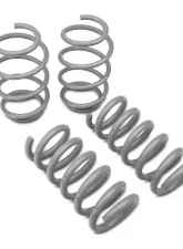 RTR Vehicles Tactical Performance Lowering Springs Ford Mustang GT Fastback | Ecoboost w/MagneRide 2015-2023                                     - 11081.0013.21.A - Image 2