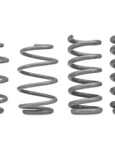 RTR Vehicles Tactical Performance Lowering Springs Ford Mustang GT Fastback | Ecoboost w/MagneRide 2015-2023                                     - 11081.0013.21.A - Image 2