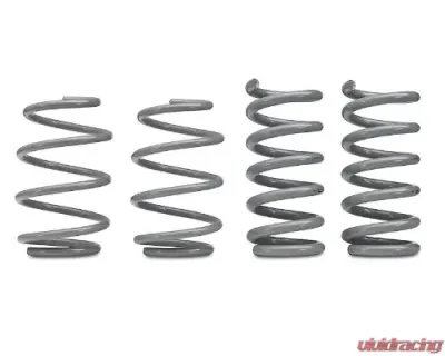 RTR Vehicles Tactical Performance Lowering Springs Ford Mustang GT Fastback | Ecoboost w/MagneRide 2015-2023 - 11081.0013.21.A