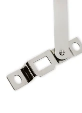 BROTHERS Trucks C/K Tailgate Link Hinge Set - Polished                                     - 04-219 - Image 5