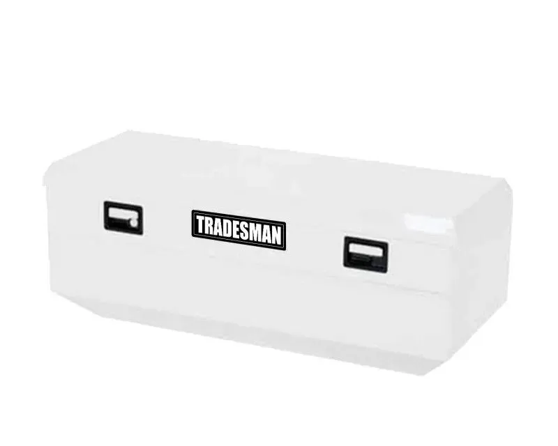 Tradesman 86460 Steel Flush Mount Tool Box 60