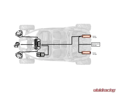 SWITCH Works Turn-Signal Plug-&-Play Kit - 250-SWTSL-RZ46