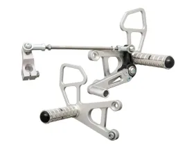 Woodcraft Technologies Basic GP Shift Rearset Aprilia RSV 1000 R | Mille 2004-2010