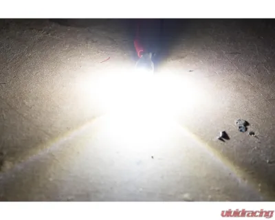 Headlight Revolution Profile Crown 2.0 921 | T15 LED Bulb - LED1060