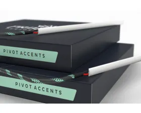 Headlight Revolution 24in Switchback Pivot Strip with Driver