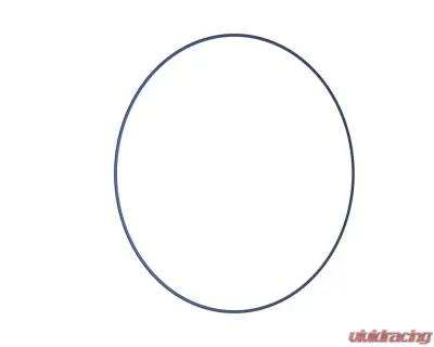 BBS 22" Blue Rim Protector - 58070027