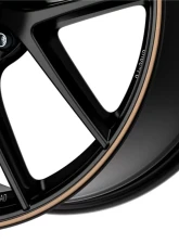BBS 18" Bronze Rim Protector                                     - 58070004 - Image 2