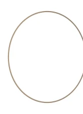 BBS 18" Bronze Rim Protector                                     - 58070004 - Image 3