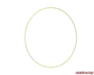 BBS 22" Gold Rim Protector - 58070030