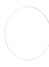 BBS 21" Polished Rim Protector                                     - 58070023 - Image 3
