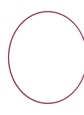BBS 18" Red Rim Protector                                     - 58070002 - Image 3