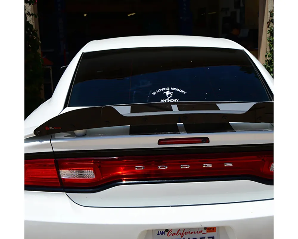 ZL1 Addons Dark Tint Stealth Wicker Bill Dodge Charger 2011-2014 - 05143014