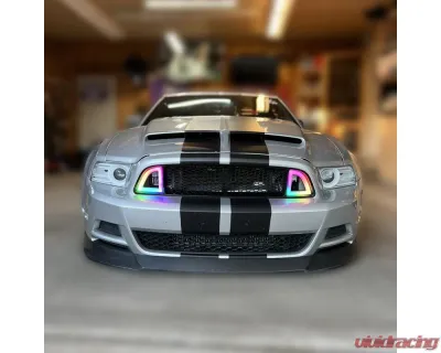 Striker Lights LLC RTR Style Grill ford Mustang 2013-2014 - SL-13S19RT