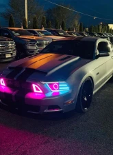 Striker Lights LLC RTR Style Grill ford Mustang 2013-2014                                     - SL-13S19RT - Image 3