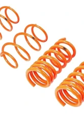aFe Power Control Lowering Springs Ford Mustang 2015-2022                                     - 410-301002-N - Image 2