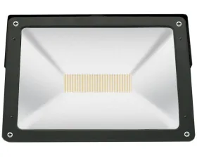 Phoenix USA 50w 110v LED Work Light