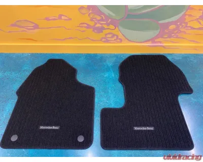 Terrawagen Cargo Carpet Floor Mats Mercedes-Benz 907 Sprinter 2019-2023 - TWNS-01