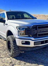American Modified Armor Grille With LED Off-Road Lights Ford F-150 2018-2020                                     - AMFMAA00120 - Image 10
