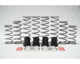 Shock Therapy Dual Rate Spring Kit Can-Am Commander 2.0 Fox 2 Seat 2010-2019