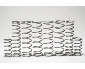 Shock Therapy Dual Rate Spring Kit Can-Am Maverick R 2 XRS DSC 2 Seat