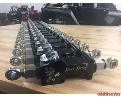 Shock Therapy Race Rack & Long Pinion Polaris RZR Turbo S | RZR XP Turbo - 803-1000-03
