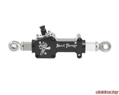 Shock Therapy Race Rack & Long Pinion Polaris RZR Turbo S | RZR XP Turbo - 803-1000-03