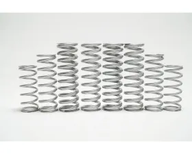 Shock Therapy Dual Rate Spring Kit Honda Talon 1000 R 2 Seat 2021-2022
