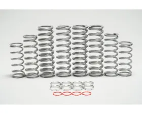 Shock Therapy Dual Rate Spring Kit Honda Talon 1000 X 2 Seat 2019-2020