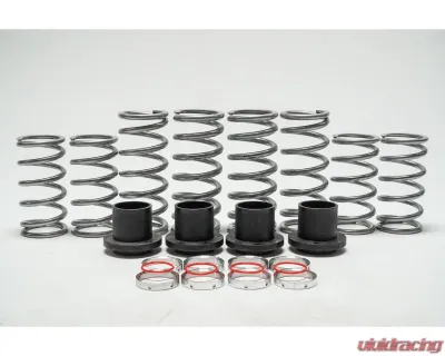 Shock Therapy Dual Rate Spring Kit Can-Am Maverick 2.5 X3 X-RC 2 Seat 2019-2020 - 100-2046-04