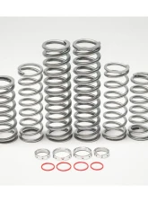 Shock Therapy Dual Rate Spring Kit Polaris 1000S Walker Evans 4 Seat                                     - 100-1018-04 - Image 3