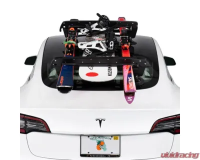 SeaSucker Classic Ski | Snowboard Rack 2 Boards 4 Sets Skis - SK2420