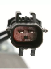 Delphi A/C Compressor                                     - CS20106 - Image 4