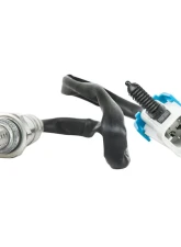 Delphi Oxygen Sensor                                     - ES20013 - Image 3