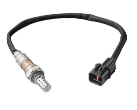 Delphi Oxygen Sensor