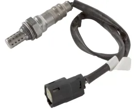 Delphi Oxygen Sensor