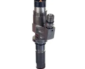 Delphi Fuel Injector