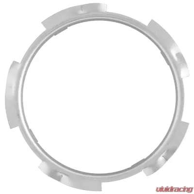 Delphi Fuel Tank Lock Ring - FA10008