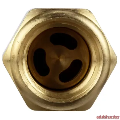Delphi Fuel Pump Check Valve - FA10016