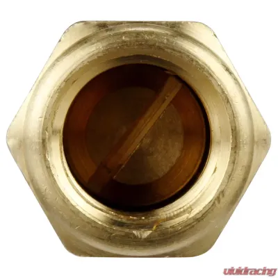 Delphi Fuel Pump Check Valve - FA10016